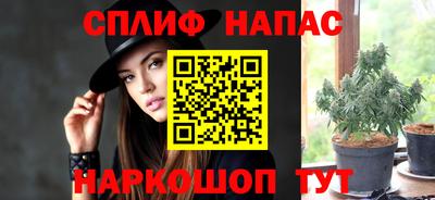 ПСИЛОЦИБИНОВЫЕ ГРИБЫ Заводоуковск