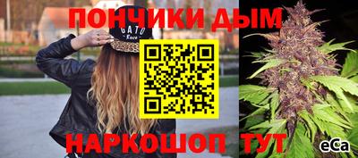 ПСИЛОЦИБИНОВЫЕ ГРИБЫ Заводоуковск