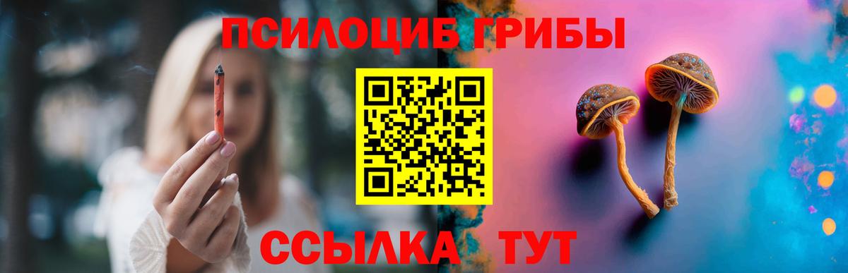 Галлюциногенные грибы мицелий  где найти   Галлюциногенные грибы GOLDEN TEACHER  Кудрово  Вход с VPN 